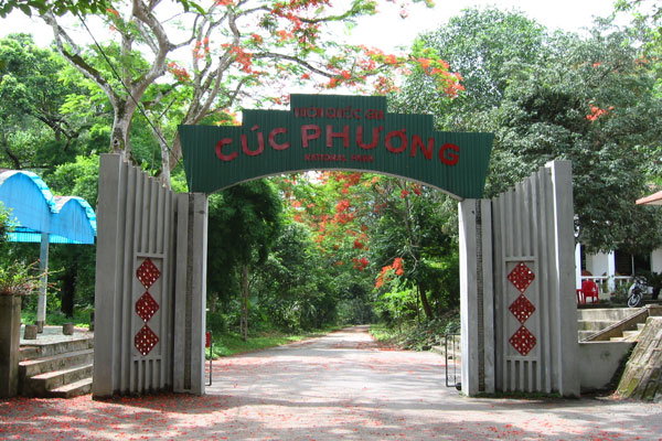 Tour Rừng Cúc Phương - Hoa Lư - Tam Cốc 2 Ngày 1 Đêm