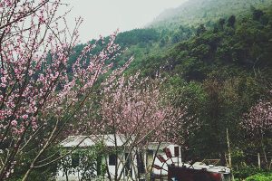 Tour Du Lịch Miền Bắc
