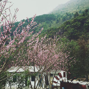Tour Du Lịch Miền Bắc
