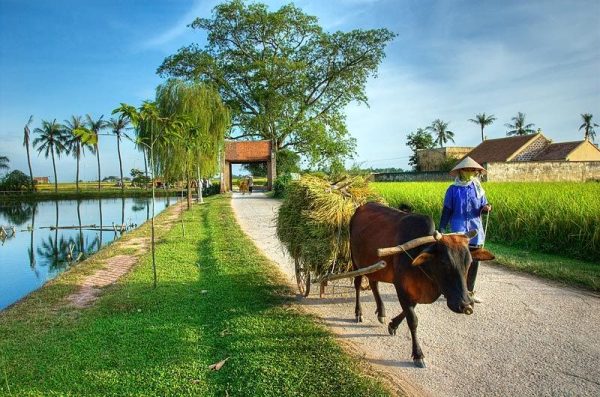 Tour Du Lịch Làng Cổ Đường Lâm 1 Ngày