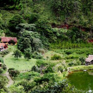 Du Lịch Đà Lạt - Xứ Thông Reo 3 Ngày 2 Đêm
