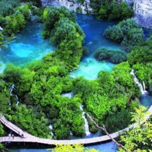 Tour Du Lịch Vườn Quốc Gia Bạch Mã 1 Ngày
