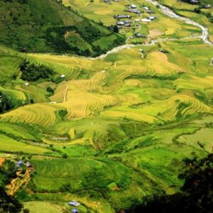 Tour Mù Cang Chải 2 ngày 1 đêm 