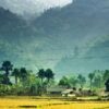 TOUR DU LỊCH MAI CHÂU