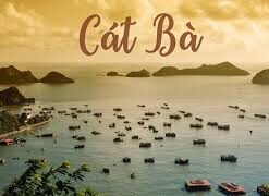 DU LỊCH CÁT BÀ