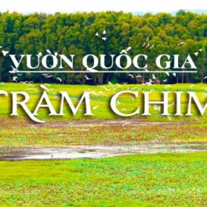 Tour Miền Tây 10: Sài Gòn - Sa Đéc - Cao Lãnh - Tràm Chim - Gáo Giồng - 2 Ngày 1 Đêm Khởi Hành Thứ 7 Hàng Tuần