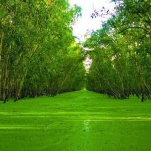 Tour Miền Tây 2 Ngày 1 Đêm