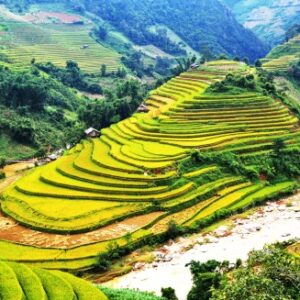 Tour Mù Cang Chải Hanoi - Suối Giàng - Tú Lệ - Đèo Khâu Phạ - Mù Cang Chải